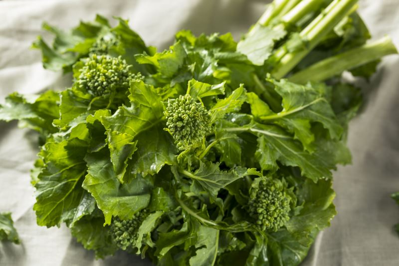 Broccoli Rabe Substitute 