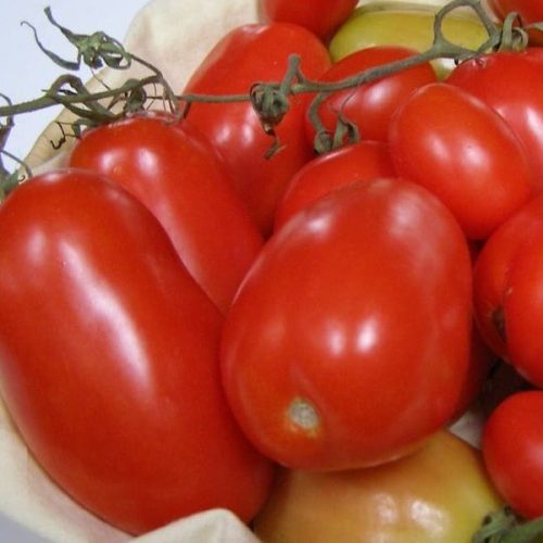 Substitute For Plum Tomatoes 