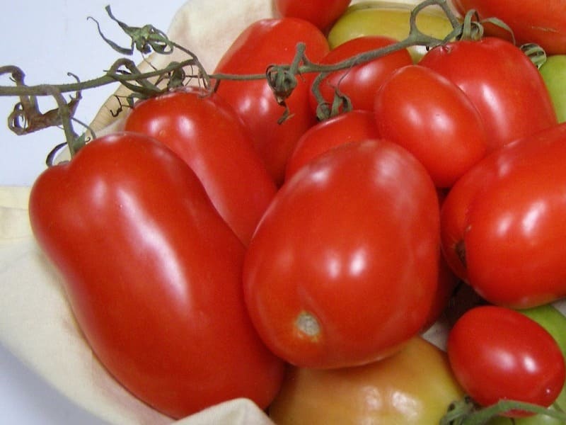 Substitute For Plum Tomatoes 
