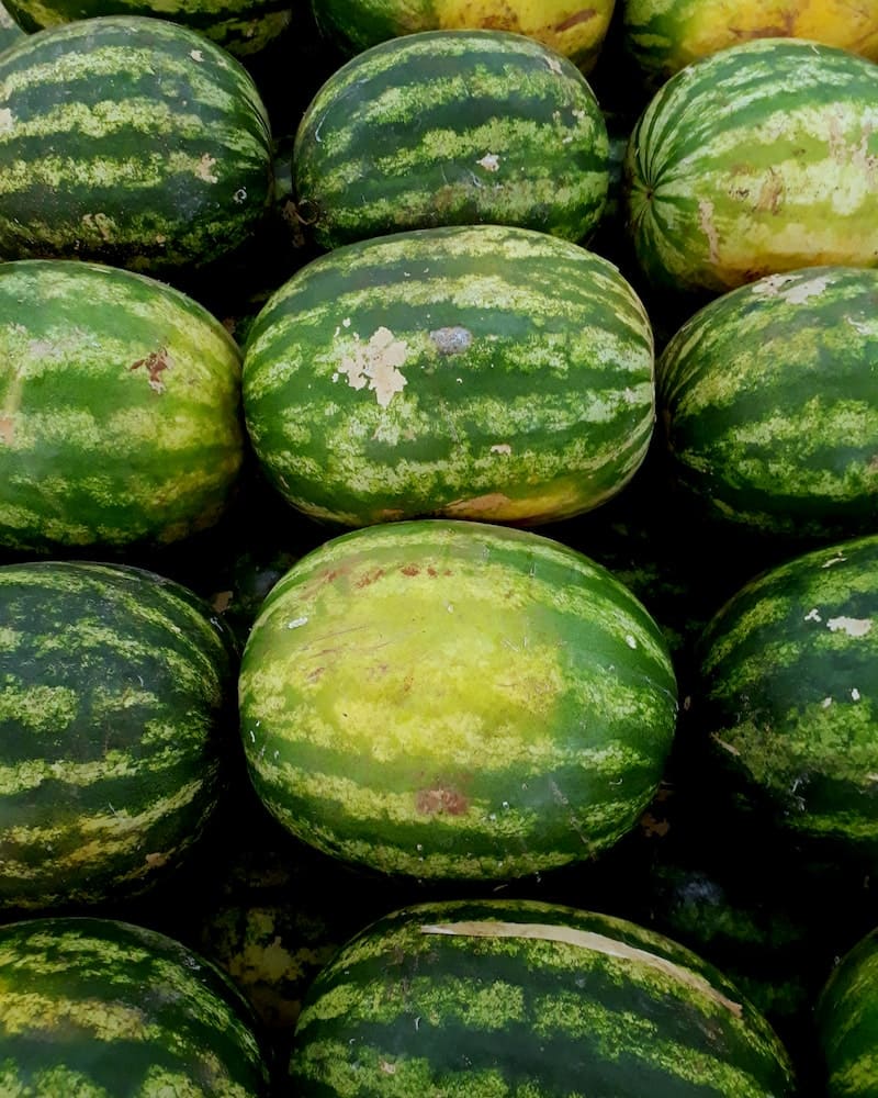 many watermelons